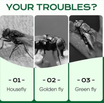 Multi-Scene Fast-Acting Fly Killer Powder (Pack Of 2)
